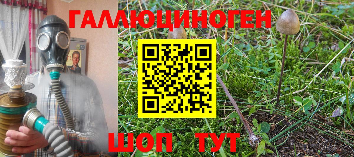 купить наркотик  Вход с VPN  Кыштым  Галлюциногенные грибы GOLDEN TEACHER  Галлюциногенные грибы Psilocybine cubensis 
